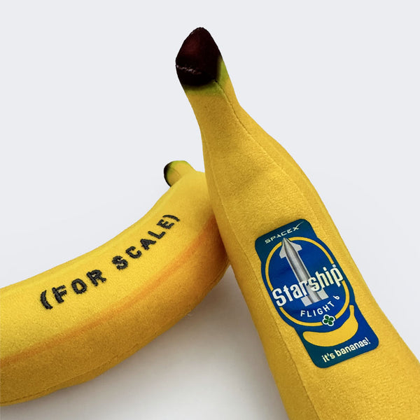 SPACEX STARSHIP FLIGHT 6 BANANA – SpaceX Store