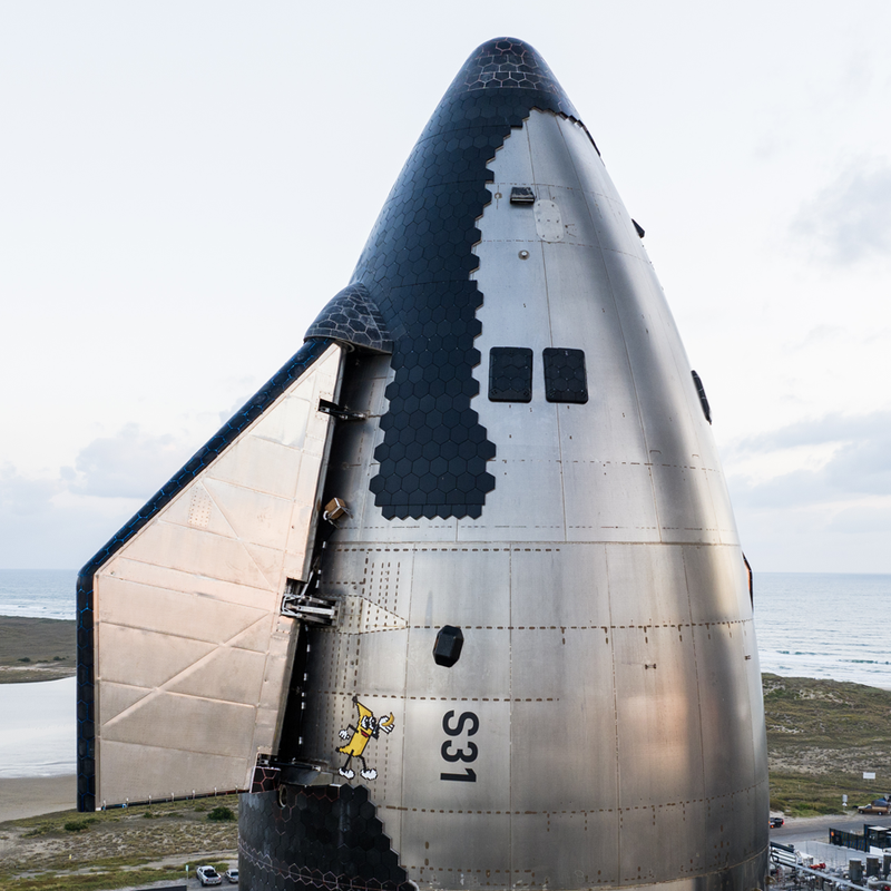 SPACEX BANANA FOR SCALE WALL DECAL