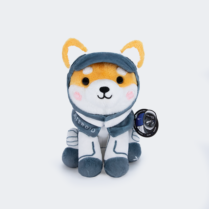 POLARISDAWN_ZGI_FRONT_800x800.png?v=1724713589