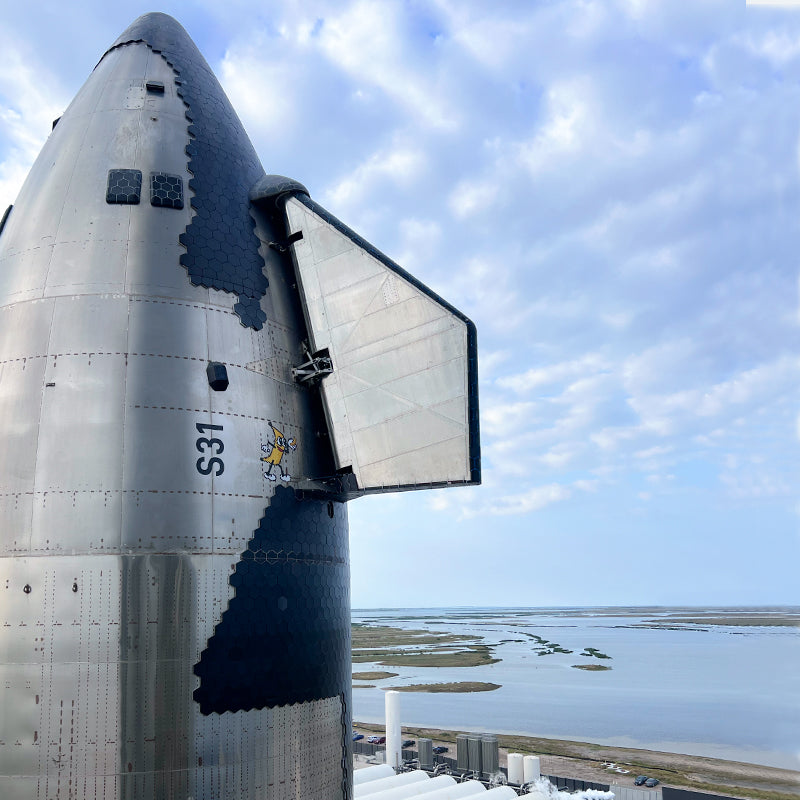 SPACEX BANANA FOR SCALE WALL DECAL