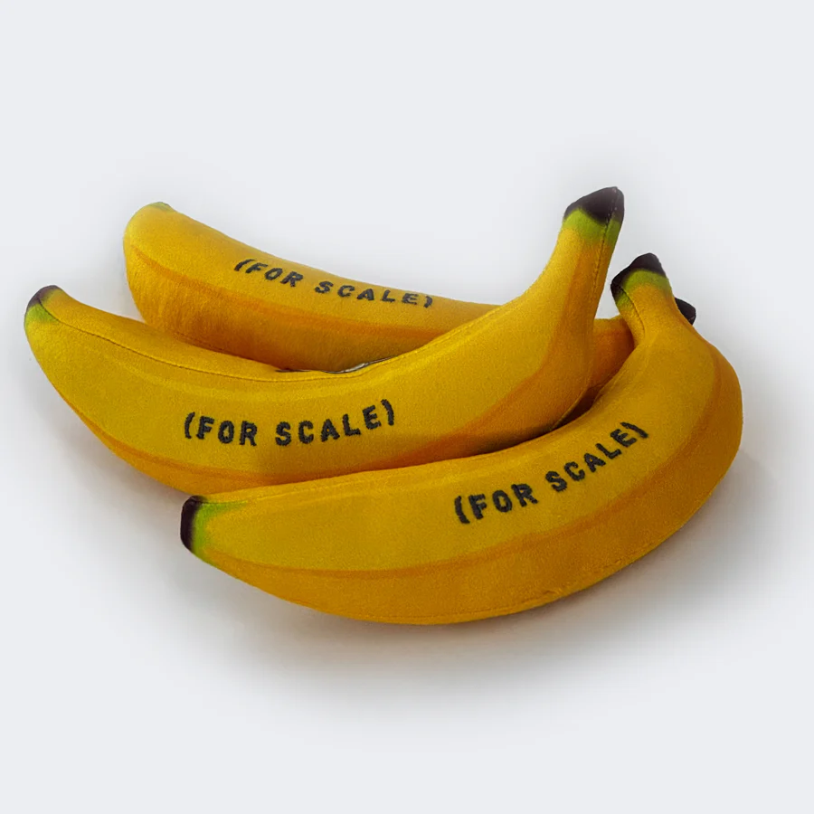 カノックスターへのBANANA SPACEX STARSHIP FLIGHT 6 BANANA – SpaceX Store