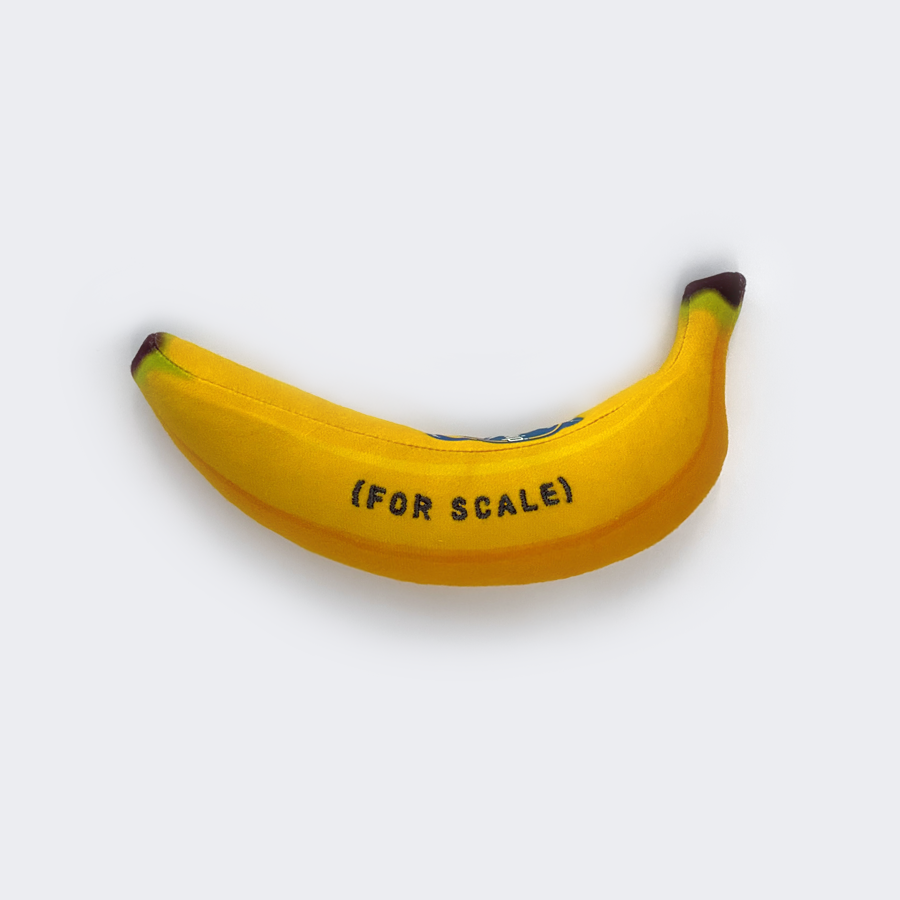 SPACEX STARSHIP FLIGHT 6 BANANA – SpaceX Store